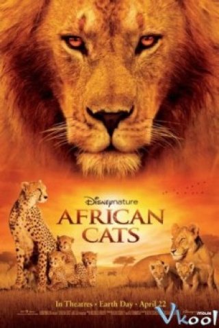 Phim Báo Châu Phi - African Cats (2011)
