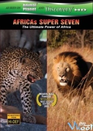 7 Loài Thống Lĩnh Châu Phi - Africas Super Seven 2008
