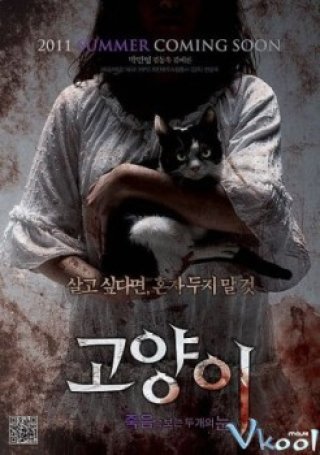 Mắt Mèo - The Cat (2011)