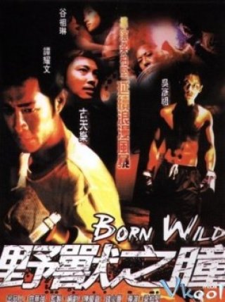 Dã Chiến Giang Hồ - Born Wild (1999)