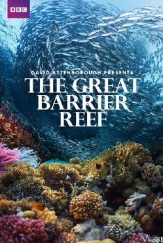 Phim Khám Phá Rạn San Hô Vĩ Đại Với David Attenborough - Bbc: Great Barrier Reef With David Attenborough (2016)