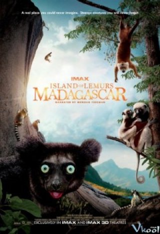 Phim Đảo Vượn Cáo - Island Of Lemurs: Madagascar (2014)