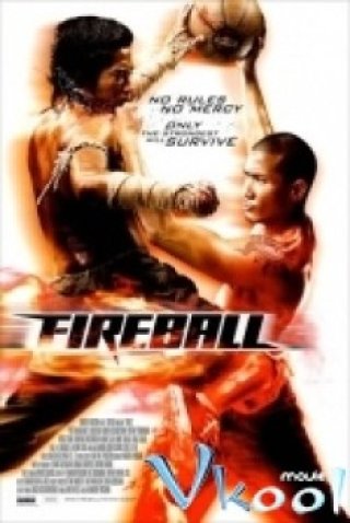 Hỏa Cầu Quyền Cước - Fireball 2009