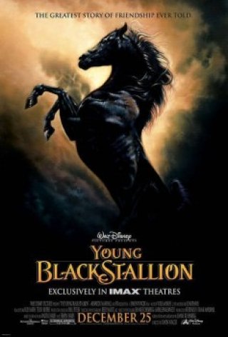 Chú Ngựa Ô Choai - The Young Black Stallion (2003)