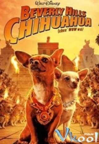 Nữ Minh Tinh Và Chàng Lãng Tử - Beverly Hills Chihuahua 3: Viva La Fiesta! (2008)