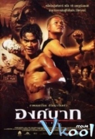 Truy Tìm Tượng Phật I - Ong Bak (2003)
