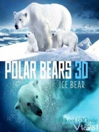 Phim Gấu Bắc Cực - Polar Bears: A Summer Odyssey (2012)