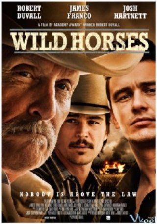 Bấy Ngựa Hoang - Wild Horses (2015)