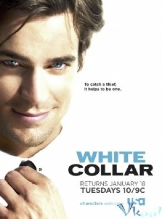 Cổ Cồn Trắng Phần 2 - White Collar Season 2 (2010)