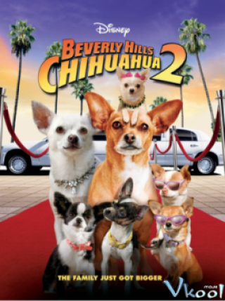 Beverly Hills Chi Hua Hua 2 - Beverly Hills Chihuahua 2 (2011)