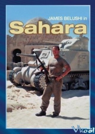 Phim Cuộc Chiến Trên Sa Mạc Sahara - Sahara (1995)