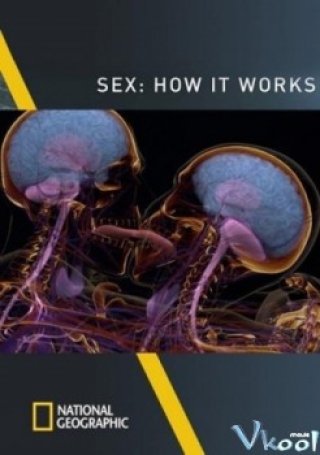 Sex Là Gì? - National Geographic – Sex How It Works (2013)