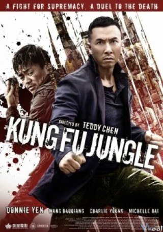Kế Hoạch Bí Ẩn - Kung Fu Jungle (2014)