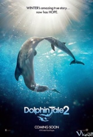 Câu Chuyện Cá Heo 2 - Dolphin Tale 2 (2014)