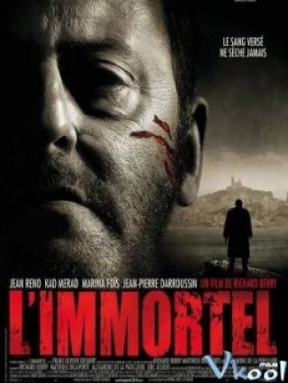Kẻ Bất Tử - L'immortel 22 Bullets (2010)