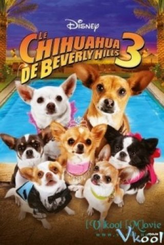 Những Chú Chó Chihuahua Ở Đồi Beverly 3 - Beverly Hills Chihuahua 3: Viva La Fiesta! (2012)