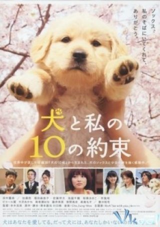 10 Lời Hứa Với Chú Chó Của Tôi - 10 Promises To My Dog (2008)