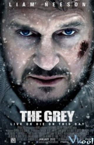 Bản Năng Sinh Tồn - The Grey (2011)