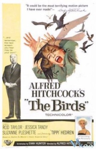 Bầy Chim - The Birds 1963