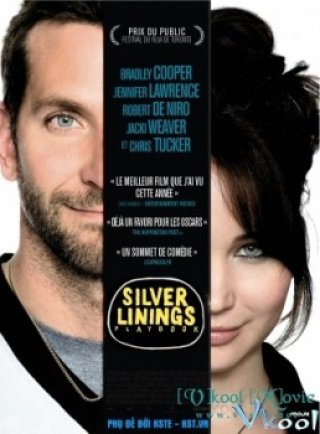 Câu Chuyện Nhiều May Mắn - Silver Linings Playbook (2012)