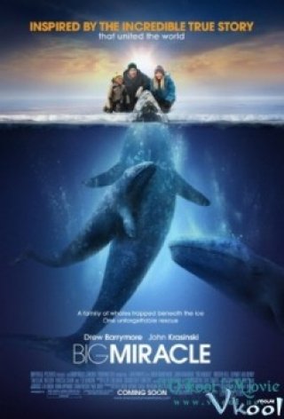 Giải Cứu Cá Heo - Big Miracle (2012)