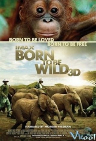 Phim Sinh Ra Trong Hoang Dã - Born To Be Wild (2011)