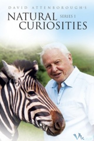 Những Lạ Kỳ Của Tự Nhiên - David Attenborough's Natural Curiosities (2013)