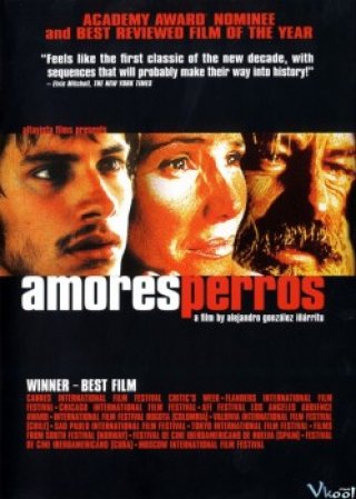 Kẻ Vô Đạo - Amores Perros (2000)