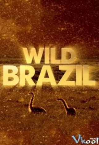 Phim Động Vật Hoang Dã Brazil - Bbc Wild Brazil (2014)