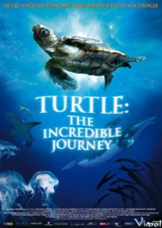 Hành Trình Vĩ Đại Của Loài Rùa - Turtle: The Incredible Journey (2009)