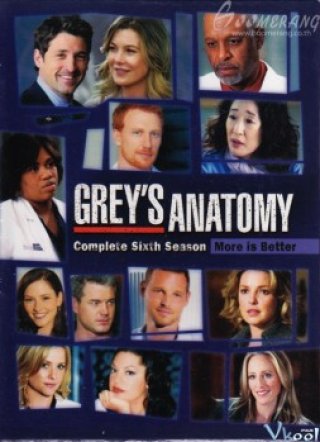 Ca Phẫu Thuật Của Grey 6 - Grey's Anatomy Season 6 2009