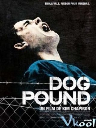 Dog Pound - Dog Pound (2010)