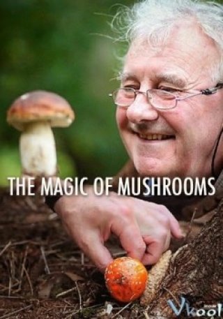 Phim Sự Kỳ Diệu Của Nấm - Bbc The Magic Of Mushrooms (2014)