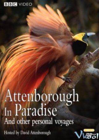 Loài Chim Thiên Đường - Attenborough