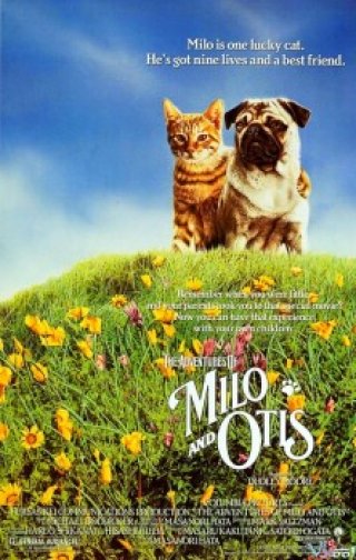 Cuộc Phiêu Lưu Của Chó Và Mèo - The Adventures Of Milo And Otis (1986)