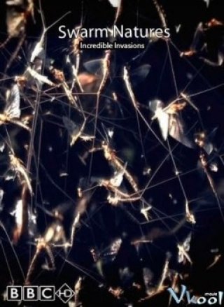 Cuộc Sống Bầy Đàn Trong Tự Nhiên - Bbc Swarm: Nature's Incredible Invasions (2009)