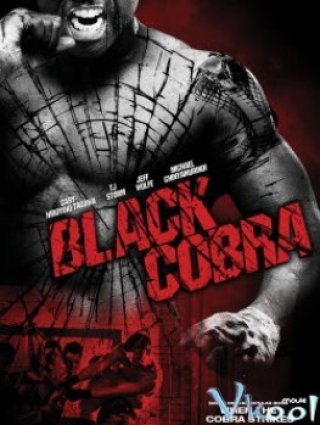 Phi Vụ Hắc Xà - Black Cobra (2012)