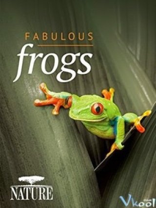 Thế Giới Loài Ếch - Bbc Natural World - Attenborough's Fabulous Frogs 2014