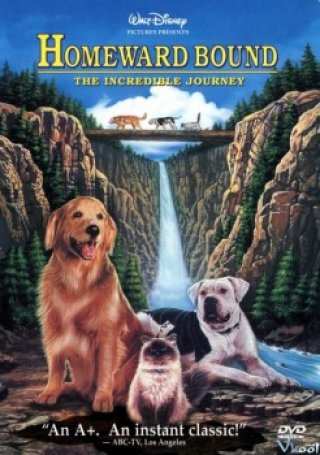 Đường Về Nhà: Cuộc Hành Trình Mạo Hiểm - Homeward Bound: The Incredible Journey (1993)