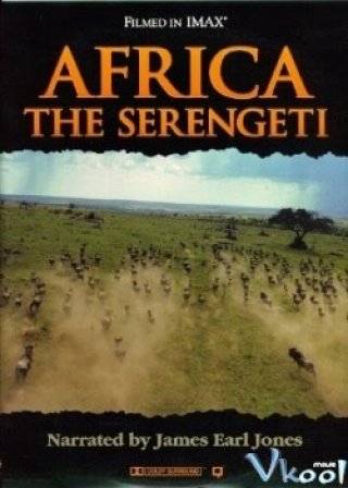 Khám Phá Thiên Nhiên Hoang Dã Vùng Đất Serengeti - Imax - Africa The Serengeti (1994)