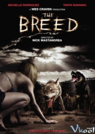 Sói Đêm - The Breed (2006)