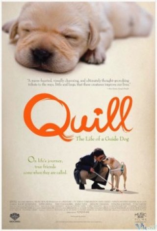 Phim Chú Chó Quill - Quill (2004)