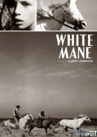 Bờm Trắng (chú Ngựa Hoang) - White Mane (1953)