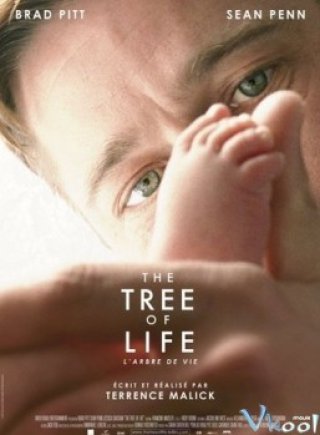 Phim Bố Mẹ Là Tất Cả - The Tree Of Life (2011)