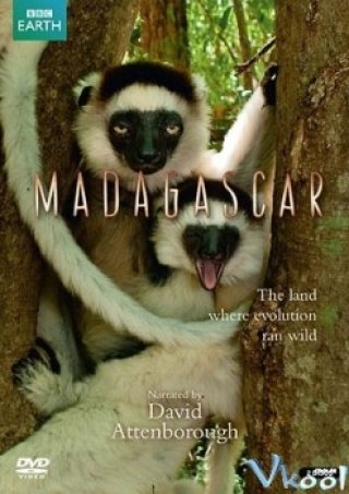 Phim Quần Đảo Madagascar - Madagascar (2011)