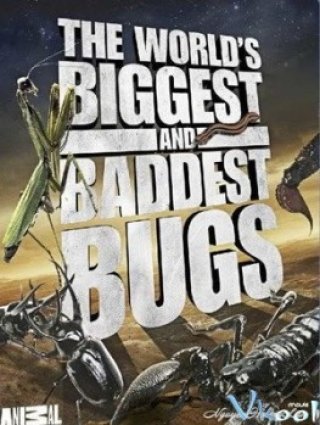 Worlds Biggest And Baddest Bugs - World