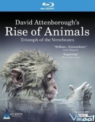 Phim Sự Tiến Hóa Của Động Vật - Rise Of Animals: Triumph Of The Vertebrates (2013)