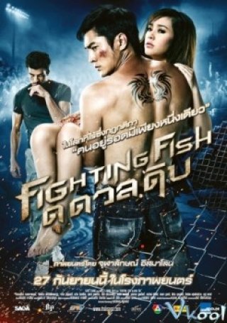 Phim Tử Chiến - Fighting Fish (brawl) (2012)