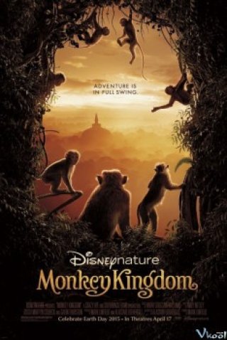 Phim Vương Quốc Loài Khỉ - Monkey Kingdom (2015)