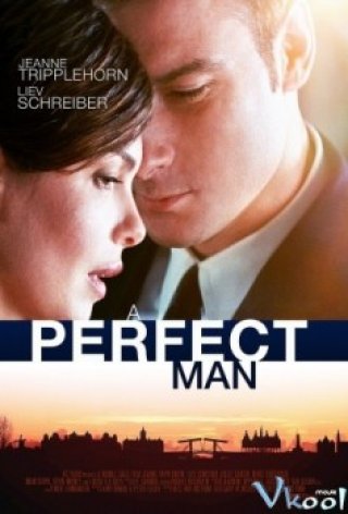 Người Đàn Ông Hoàn Hảo - A Perfect Man (2013)
